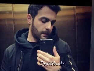 Davidbudz
