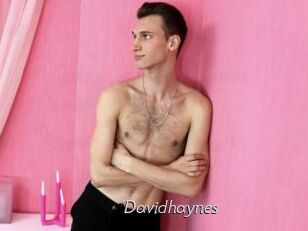 Davidhaynes