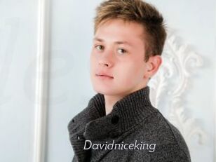 Davidniceking