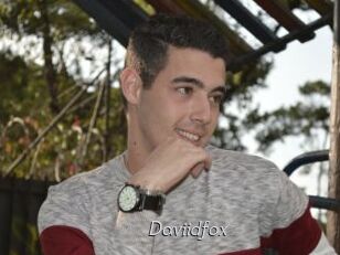 Daviidfox
