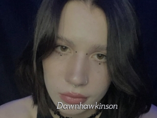 Dawnhawkinson