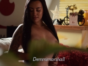 Demmimarshall