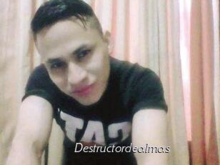 Destructordealmas