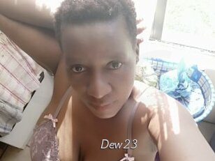 Dew23