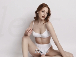Dibaker