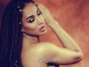 Didiflower