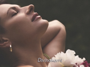 Divinakarni