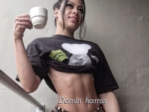Domin_hamss