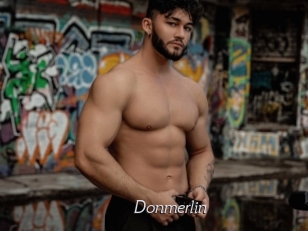 Donmerlin