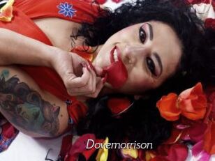 Dovemorrison