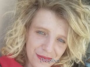 Dragibus