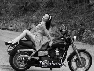 Dynaharley