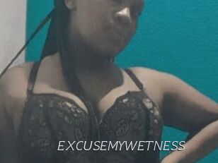 EXCUSEMYWETNESS