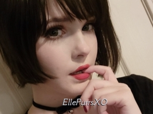 EllePurrsXO