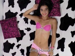 EmilyHornetS