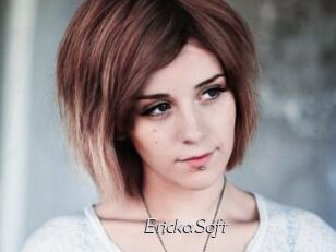 ErickaSoft