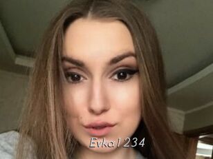 Evka1234