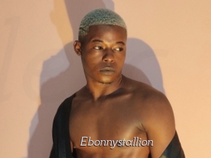 Ebonnystallion