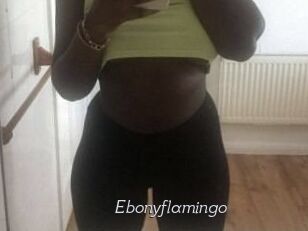 Ebony_flamingo