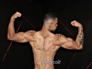 Eddycolt