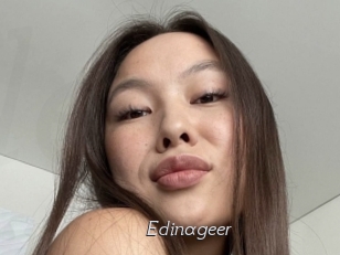 Edinageer
