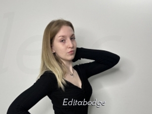 Editabodge