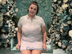 Elektraamotaro
