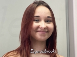 Elgaalsbrook