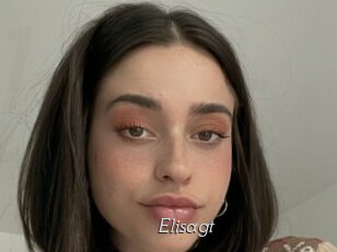 Elisagt