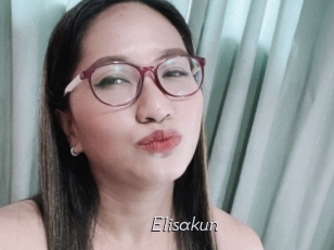 Elisakun