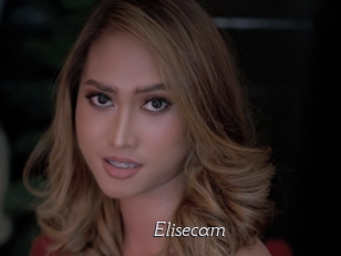 Elisecam
