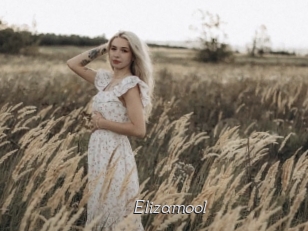 Elizamool
