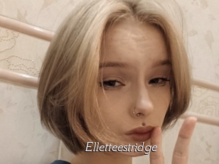 Elletteestridge