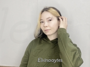 Elvinaaytes