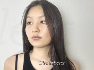 Elvinaborer
