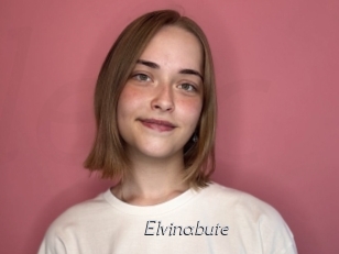 Elvinabute