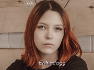 Elvinadagg