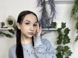 Elvinagrindle
