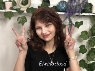 Elwinacloud