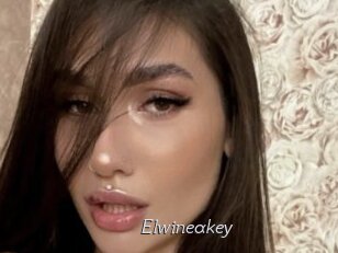 Elwineakey