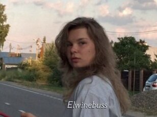 Elwinebuss
