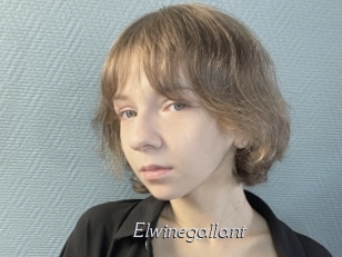 Elwinegallant