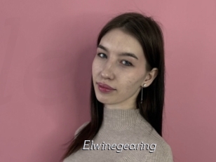 Elwinegearing
