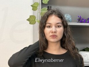 Elwynaberner