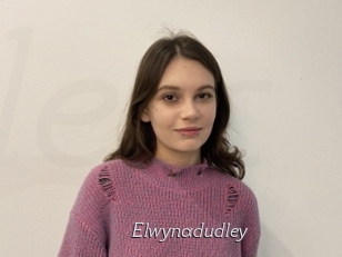 Elwynadudley
