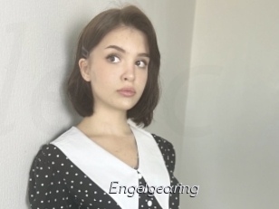 Engelgearing