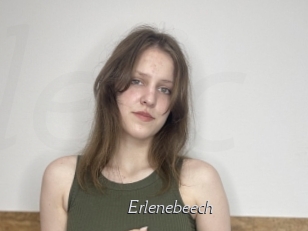 Erlenebeech