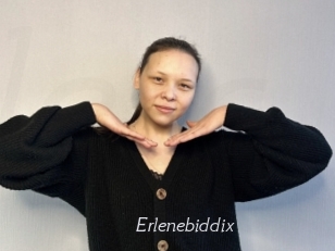 Erlenebiddix
