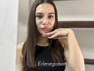 Erlenegosson