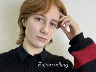 Erlinacodling